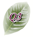 Q2